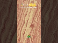 Eingebaute Holzfurniere für den Augenschleifer 0,15-0,55 mm Dicke