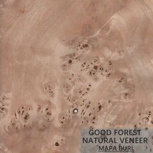 Baum-Burl Wood Veneer Natural White-PappelFurnier ausgezeichnetes