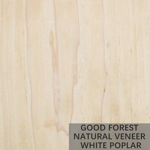Baum-Burl Wood Veneer Natural White-PappelFurnier ausgezeichnetes
