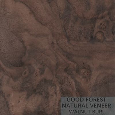 Korn-Gabelungs-NaturholzFurnier Viertelschnitt-amerikanische Walnuss