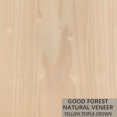 Ausgezeichnete doppelte Farbe Mappa Tulip Natural Wood Veneer Boxwood