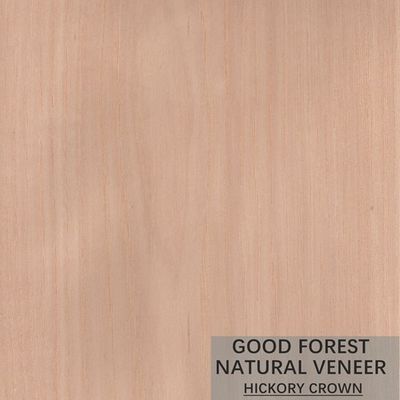 Natürliche Hickory-Furnierholz-Doppelt-Farbpopuläres Kabinett-Furnierholz FSC