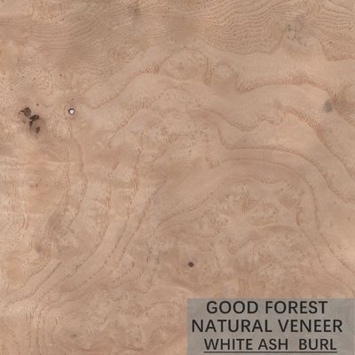 Natürliches ASH Wood Veneer Sheets Special-Korn besonders angefertigt für Türen