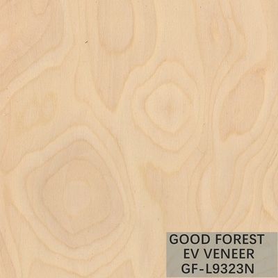 Ausgeführtes Furnierholz-Baum-Wurzel-Furnierholz-natürliche/gefärbte Farbe