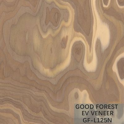 Ausgeführtes Furnierholz-Baum-Wurzel-Furnierholz-natürliche/gefärbte Farbe