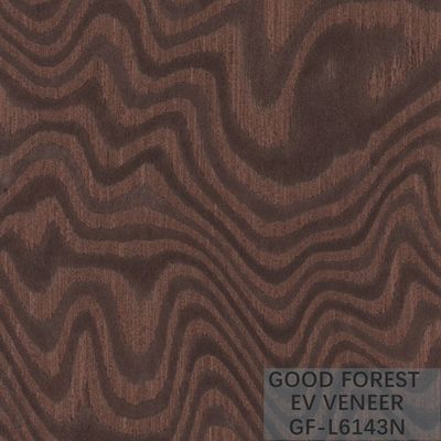 Ausgeführtes Furnierholz-Baum-Wurzel-Furnierholz-natürliche/gefärbte Farbe