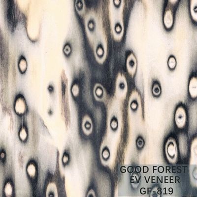 Ausgeführte Größe Furnierholz-Baum-Burl Wood Veneers EV 2500*640 Millimeter