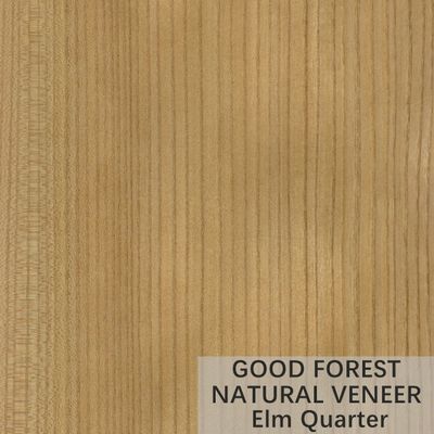 ULME Naturholz-Krone Veneer schnitt Korn, kundengebundene Dienstleistung zu erbringen