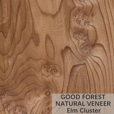 ULME Naturholz-Krone Veneer schnitt Korn, kundengebundene Dienstleistung zu erbringen