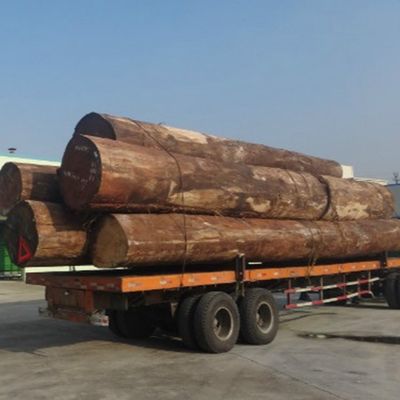 Wieder hergestellter dekorativer natürlicher Ash Wood Veneer mit Handwerkkünsten eines - Feinlinienkorn-X806