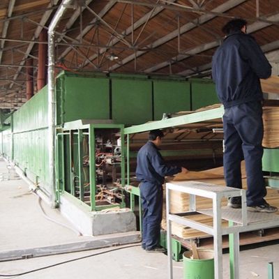 Schnitt weiße Aprikose ausgeführte Scheibe des Furnierholz-H86C Techniken für Wandverkleidung