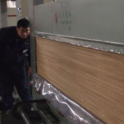 Wieder hergestellter dekorativer natürlicher Ash Wood Veneer mit Handwerkkünsten eines - Feinlinienkorn-X806