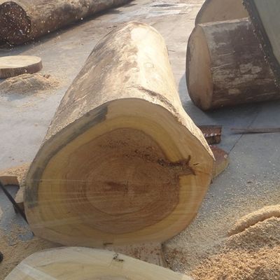 Überholtes Ash Wood Veneer Sheets Yellow-Farbviertel schnitt mit einem - H5061Q für Türen/Windws