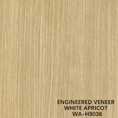 ISO der gerade Schnitt des Simulations-weiße Aprikosen-Furnierholz-H9036 für Kabinett-Gesichts-Hersteller From China
