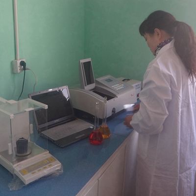 Neues Design von Recon-Holzfurnier Wenge WSW-L6761N Anpassbar 0,15-0,55 mm Dicke für Innentürfläche