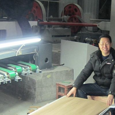 Spezielles raues Feinlinienkorn der Kabinett-Fantasie neu angeordnetes Schiefer-Furnierholz-Walnuss-X937A von China-Hersteller Iso