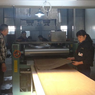 Hochwertige Holzfurniere aus europäischen Walnüssen E.WT-X8608N Quarter Cut Straight 2250mm Länge für Musikinstrument