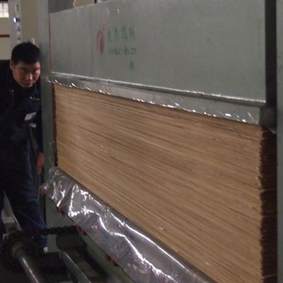 Gitter Textur 2200mm gebaute Eichenfurnier für Innenarchitektur