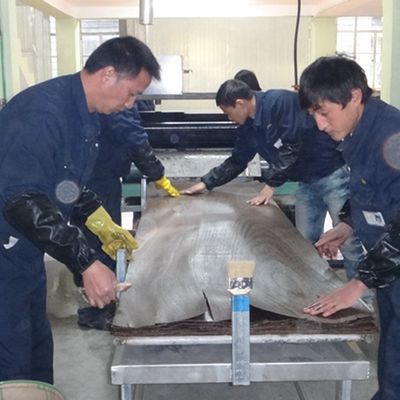 Edelfurnier Chinesische Esche -790C/790S/1229C Künstlich verlängerte Größe 3100mm Kann zur Dekoration angepasst werden China Hergestellt