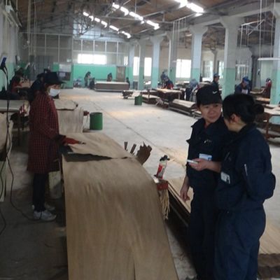 Fancy Holz Veneer Chinesische Asche von Menschenhand verlängert Größe 3100mm kann für Dekoration angepasst werden China macht