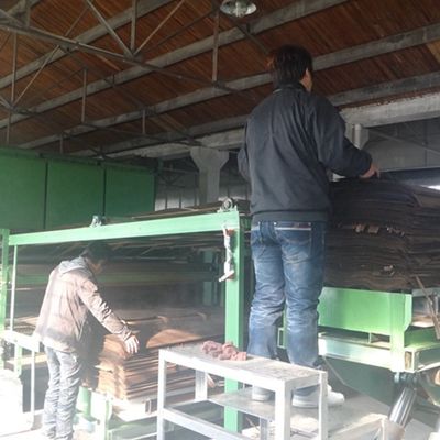 Hochwertiges Holzfurnier von Quandong Dicke 0,18-0,6 mm Für Hoteldekoration kann angepasst werden