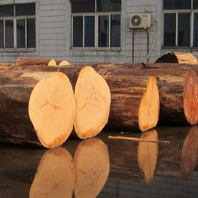 High-End Custom Engineered Holz Veneer Gitter Textur Verlängerte Größe Für Hoteldekoration