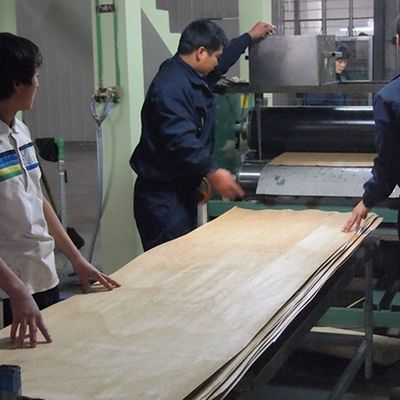 High-End Custom MPF-X8033 Technisches Holz Veneer Ahorn Figured Korndicke kann angepasst werden Service
