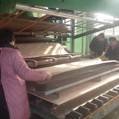 Speziell konstruierte Holzfurnier Schwarz-Weiß-Wurzel 3N zur Dekoration 3100mm