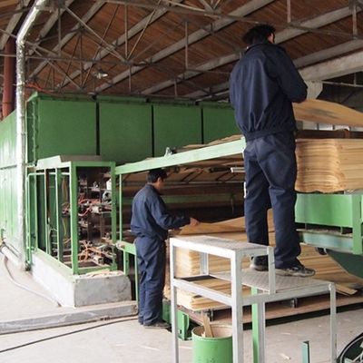 Fancy Holz Veneer Chinesische Asche von Menschenhand verlängert Größe 3100mm kann für Dekoration angepasst werden China macht