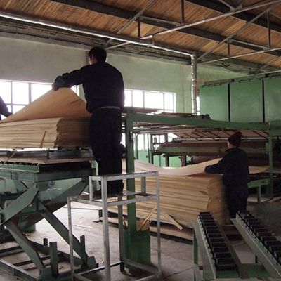 Speziell konstruierte Holzfurnier Schwarz-Weiß-Wurzel 3N zur Dekoration 3100mm