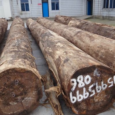 High-End Technisches Holz Veneer Blau Agat B.AT-X3282 Wellenförmiges Muster Dunkle Farbe 0,55 mm Dicke Für Holzschnitzerei