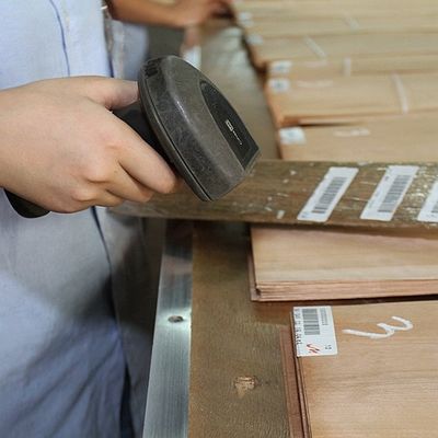 Massivholz amerikanische Elmblätter Klasse A für Viertelschnitt Kronenkorn Natürliche Farbe für Türfläche 3200mm nach oben