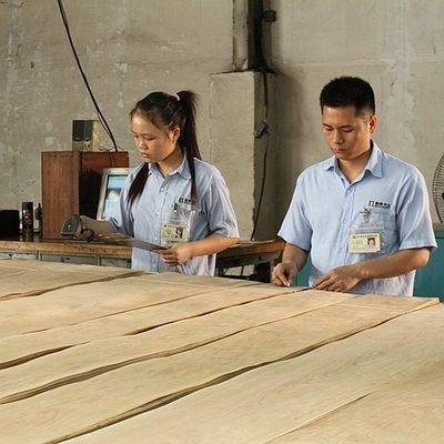 Dekorations-natürliches Walnuss-Furnierholz-ausgezeichnete Burl Grain For High Class-Möbel, die Hersteller FSC China machen