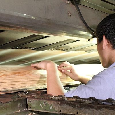 Elegantheit in den Raum bringen Ahorn Veneer-Panels Flocculenten Schatten Textur Manifestationen