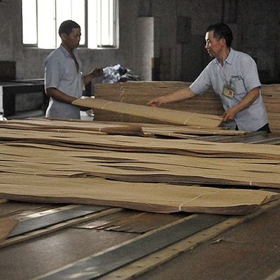 Ungewöhnliche natürliche weiße Asche Holz Veneer Burl Oliven AA Grade für Wanddecken Dicke 0,5 mm