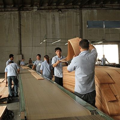 Elegantheit in den Raum bringen Ahorn Veneer-Panels Flocculenten Schatten Textur Manifestationen