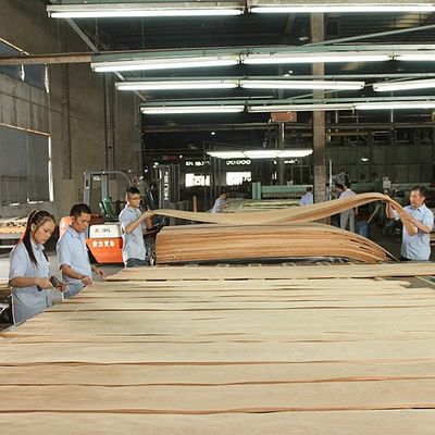 Elegantheit in den Raum bringen Ahorn Veneer-Panels Flocculenten Schatten Textur Manifestationen