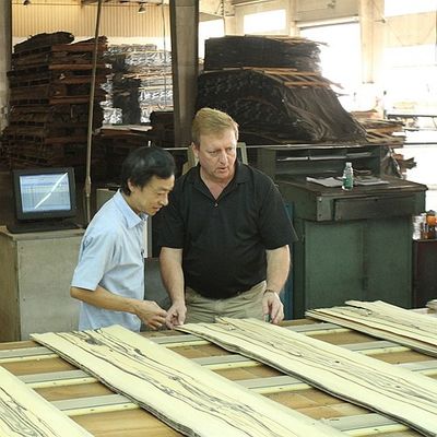 Tulip American Natural Poplar Wood furnieren die flache geschnittene Krone, die für Türen weiß ist