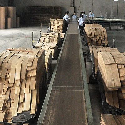 Massivholz amerikanische Elmblätter Klasse A für Viertelschnitt Kronenkorn Natürliche Farbe für Türfläche 3200mm nach oben