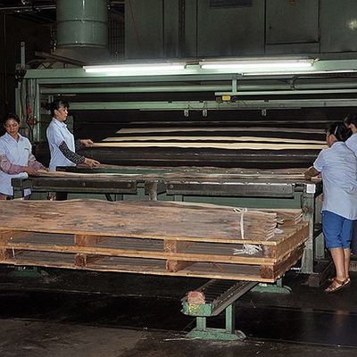 Doppelte Farbschnitt amerikanisches natürliches Pappel-Furnierholz flach Krone für fantastisches Sperrholz