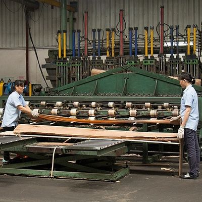 Natürliche Asche Holz Veneer Flachgeschnittenen Kronenkorn für Schrankenwand