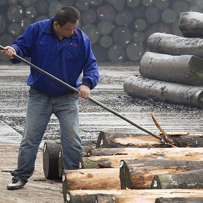 Holzverzierungen, Goldene Ahornbrust 640-1280mm G.MB-X8008 Fleeced Back für den Innenraum