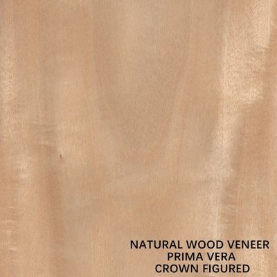 Natürliches Primavera Furnierholz-flache geschnittene Krone Soems schnitt für Platten und Möbel 0.5mm