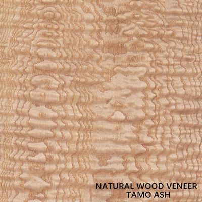 0.5mm Stärke natürlicher Tamo Ash Veneer For Car Interior und Musikinstrument
