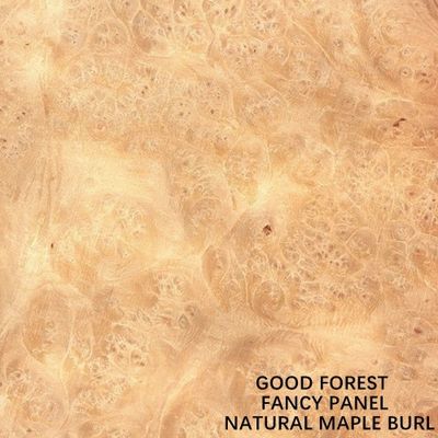 Fantastischer Ahorn Burl Plywood/Mdf/Spanplatte 2440/2745mm für Innentüren ordnen Hersteller E0/E1/P1/P2