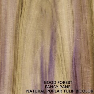 Fantastischer zweifarbiger Tulip Plywood Based MDF/Spanplatte/Spanplatte für Möbel-Gremium