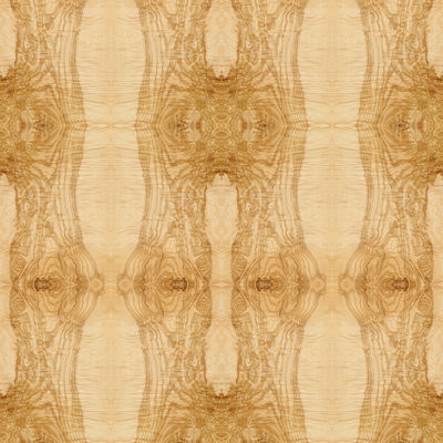 Verlängerte Größen-Fantasie natürlicher Ash Burl Oliver Wood Veneer Book Match, der für Hotel-Dekoration ISO verstärkt