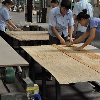 High-End rekonstituiertes Holz Veneer Quadrat Holz HSW-X2# angepasst 0,55mm Für Wandplatten China OEM-Fabrik