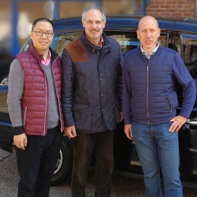 Neues Design von technisch gefertigten chinesischen Eichenholz Veneerblatt NCO-L891N/L268N 0,3mm Fleeced Back für Kabinett Gesicht