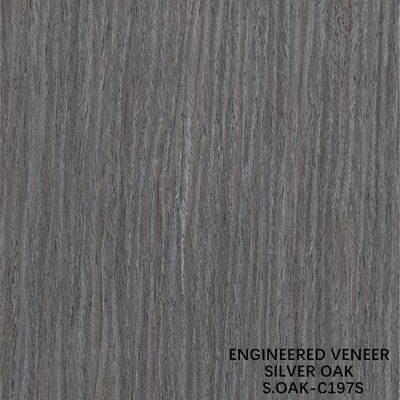 Edelfurnier aus technischem Holz in Silber-Eiche, quergeschnitten, für Tür- und Schrankfronten, verlängerte Größe 3100 mm SOAK-197S/495Q/1326S/1579S/1640S